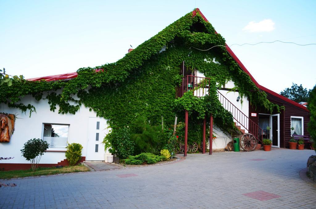 Villa Folwark Leszczynówka Srebrna Góra Exterior foto