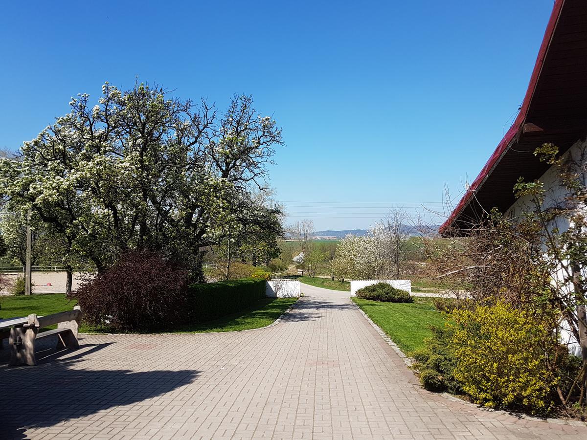 Villa Folwark Leszczynówka Srebrna Góra Exterior foto